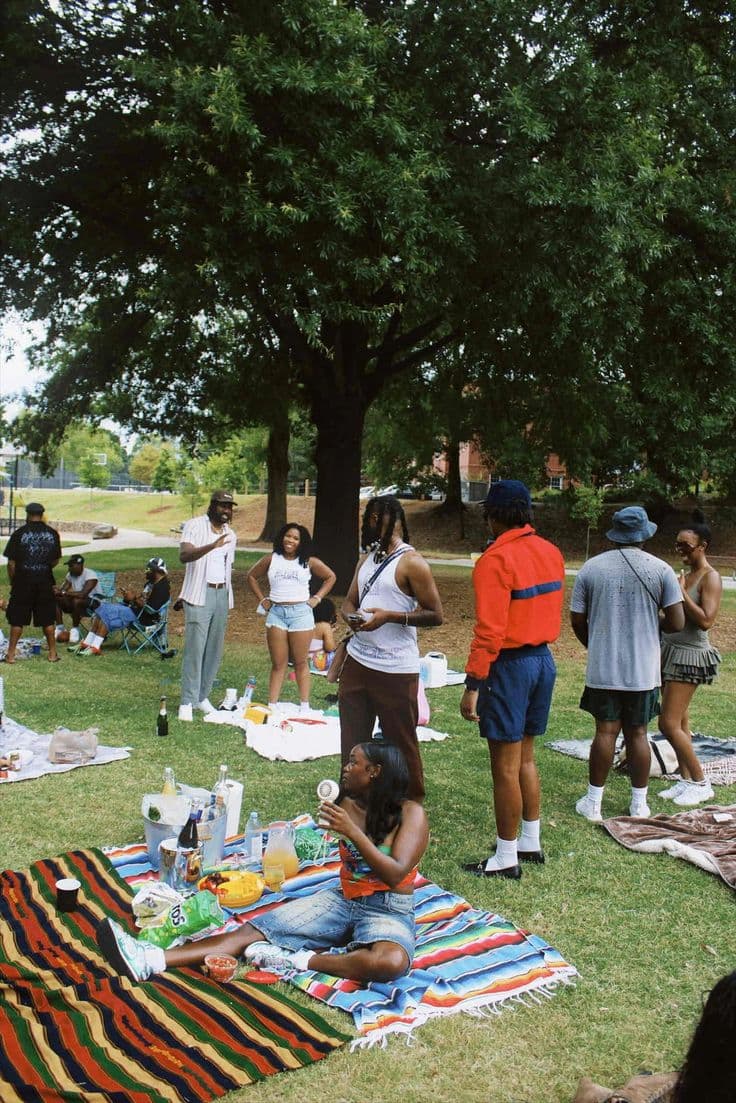 A group picnic gathering in a park